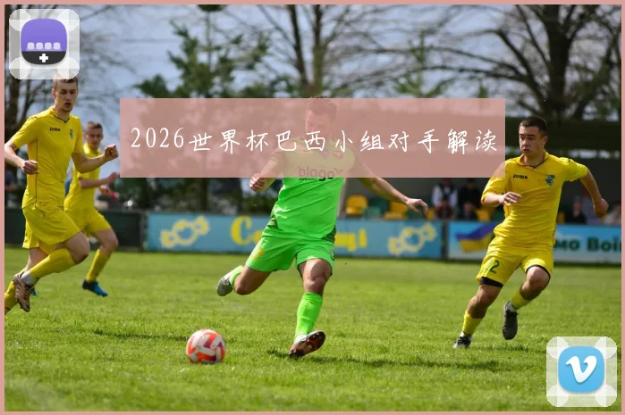 2026世界杯巴西小组对手解读