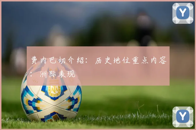 费内巴切介绍:历史地位重点内容:洲际表现