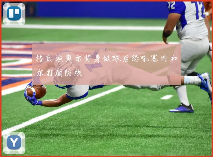 格瓦迪奥尔背身做球后怒吼塞内加尔打崩防线