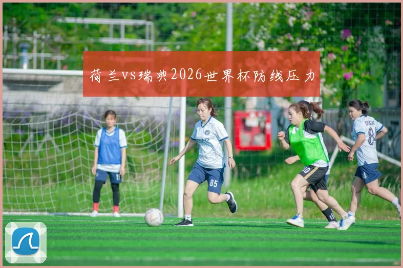 荷兰vs瑞典2026世界杯防线压力