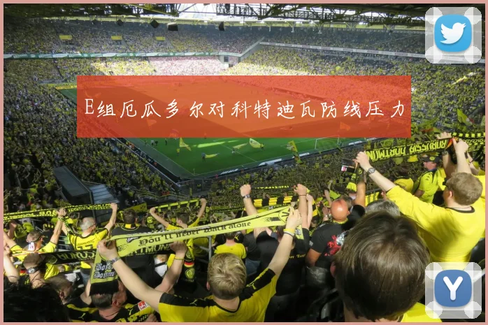 E组厄瓜多尔对科特迪瓦防线压力