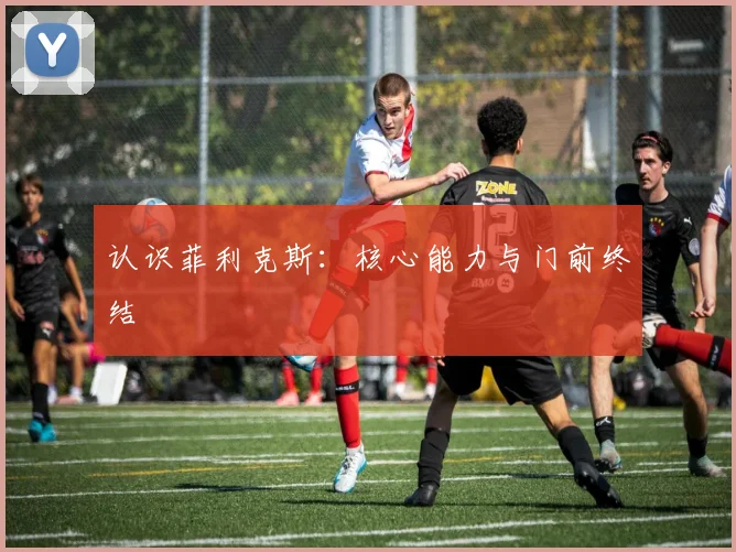 认识菲利克斯:核心能力与门前终结