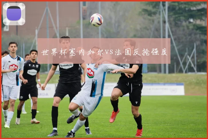 世界杯塞内加尔vs法国反抢强度