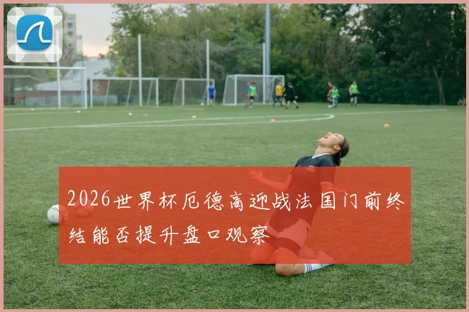 2026世界杯厄德高迎战法国门前终结能否提升盘口观察