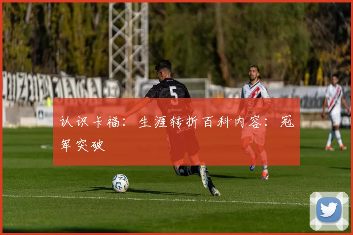 认识卡福:生涯转折百科内容:冠军突破
