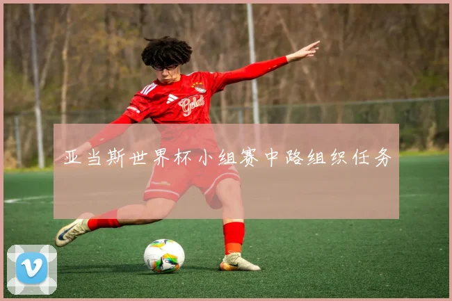 亚当斯世界杯小组赛中路组织任务