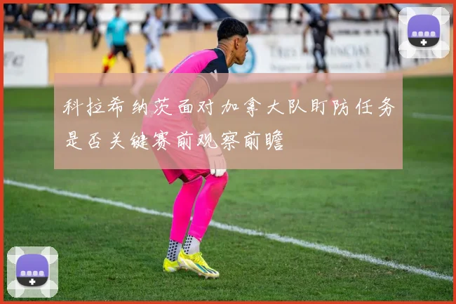 科拉希纳茨面对加拿大队盯防任务是否关键赛前观察前瞻